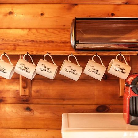 3 Bedroom Log Cabin In Snowdonia Nr Mtb Trails Tanygrisiau Exterior foto
